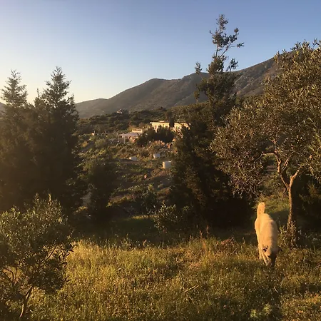 Отель Goeknar Knidos Oasis Nature Датча
