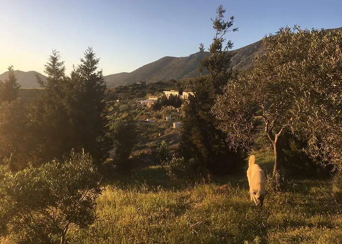 Отель Goeknar Knidos Oasis Nature Датча