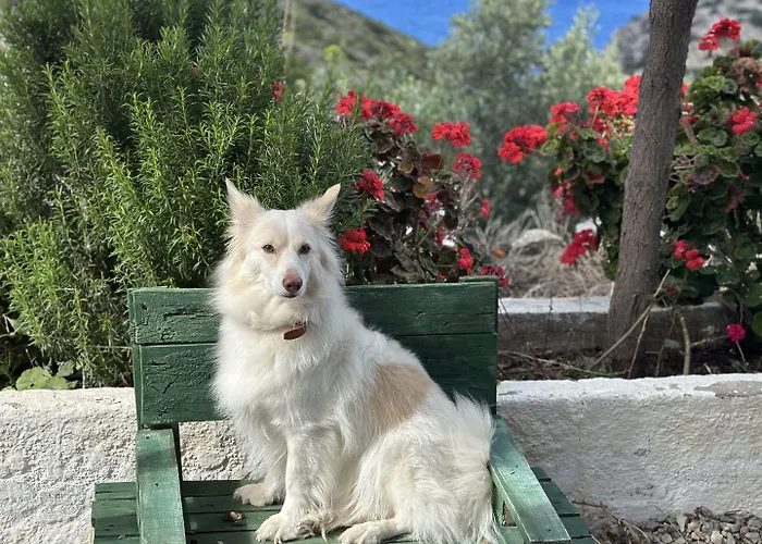 Отель Goeknar Knidos Oasis Nature 3*