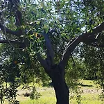 Goeknar Knidos Oasis Nature 3* Datca