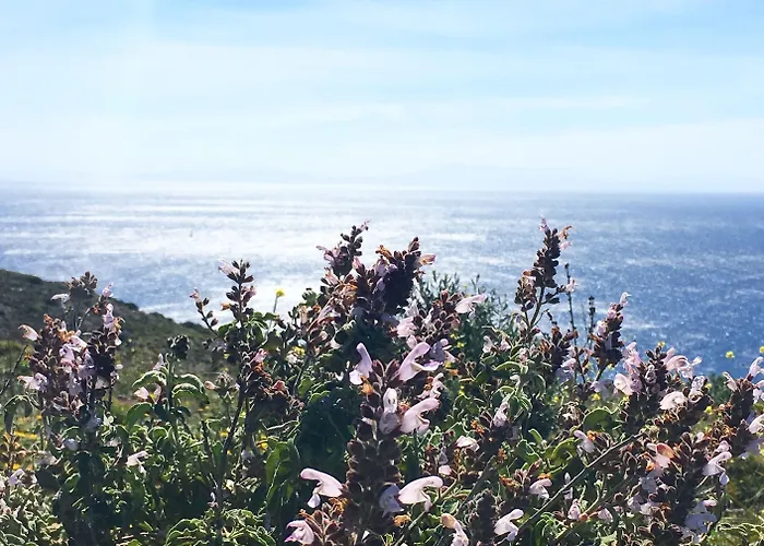 Goeknar Knidos Oasis Nature Otel